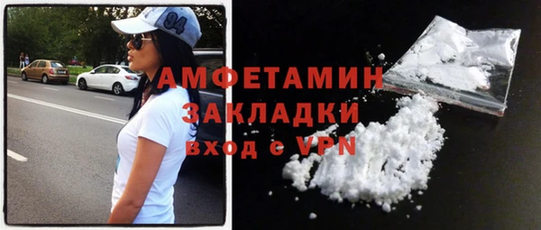 СК Алексин