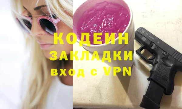 СК Алексин