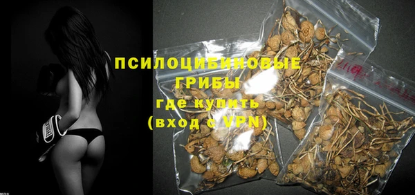 круглые Корсаков
